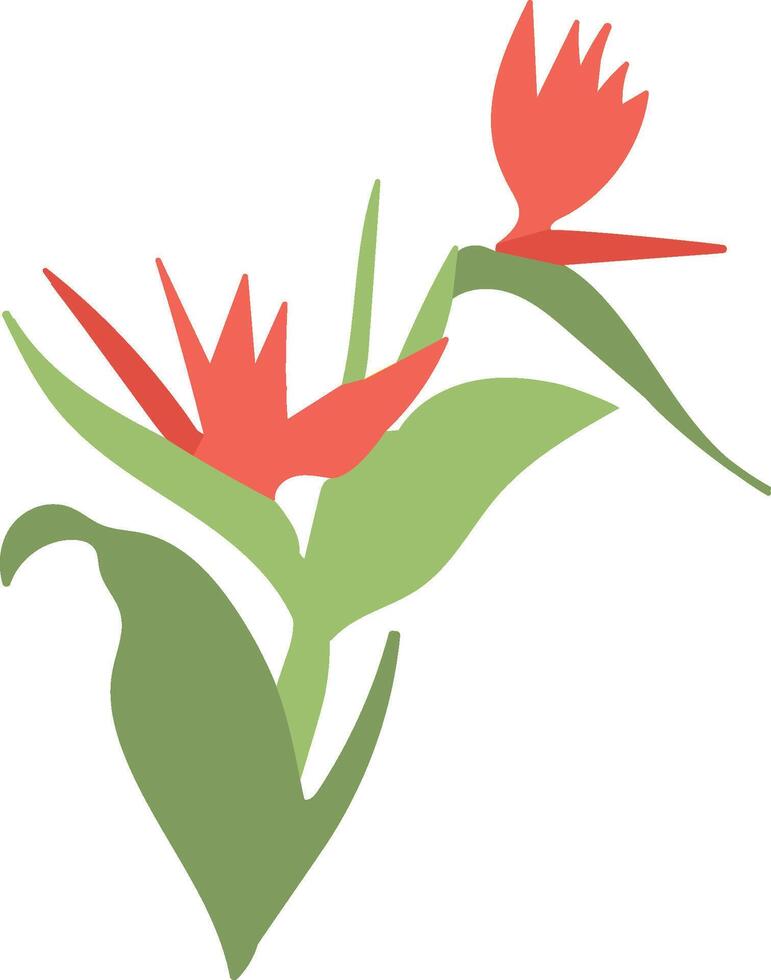 Tropical Flower with Leaves vector