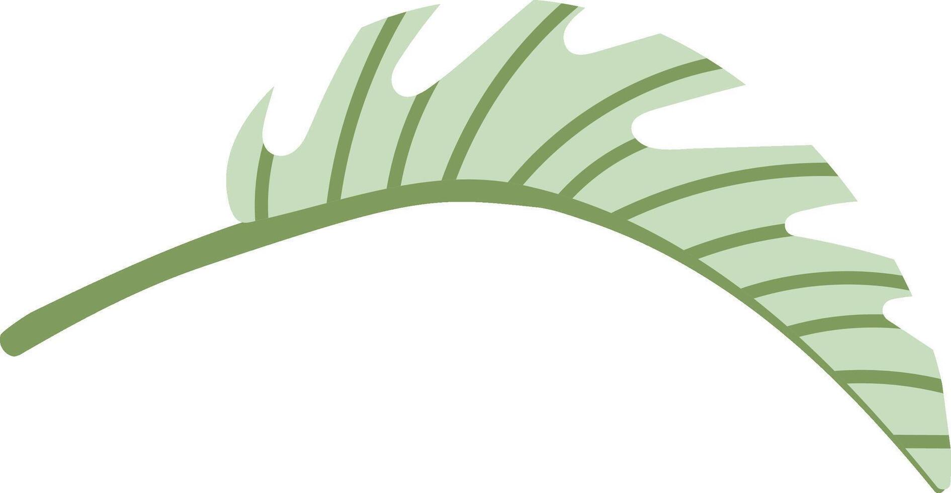 Curved Tropical Leaf vector