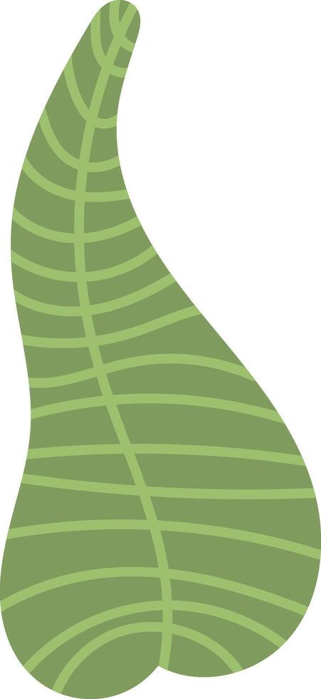 Abstract Tropical Leaf vector