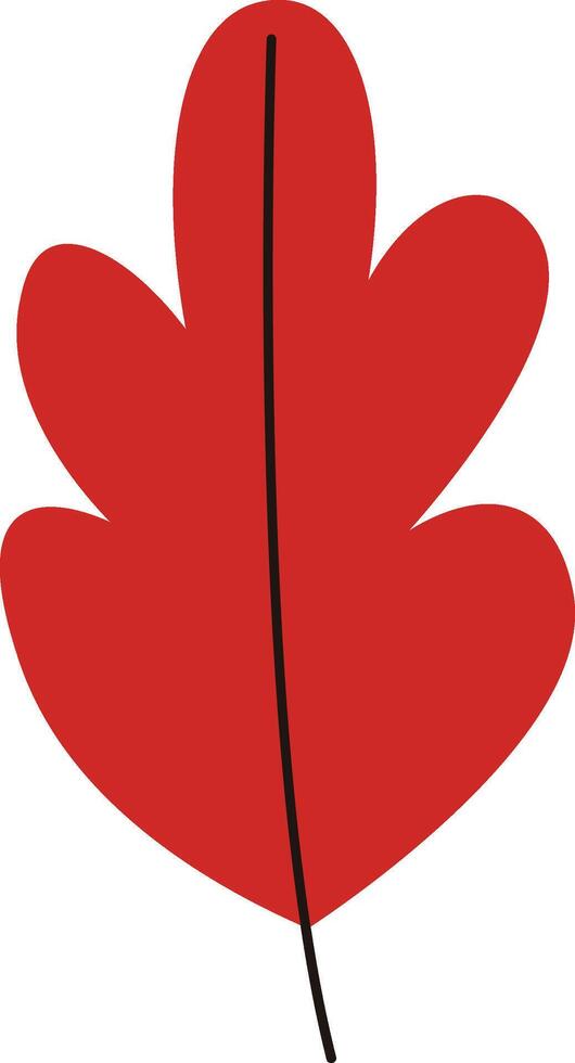 Oak Leaf Hand Drawn vector