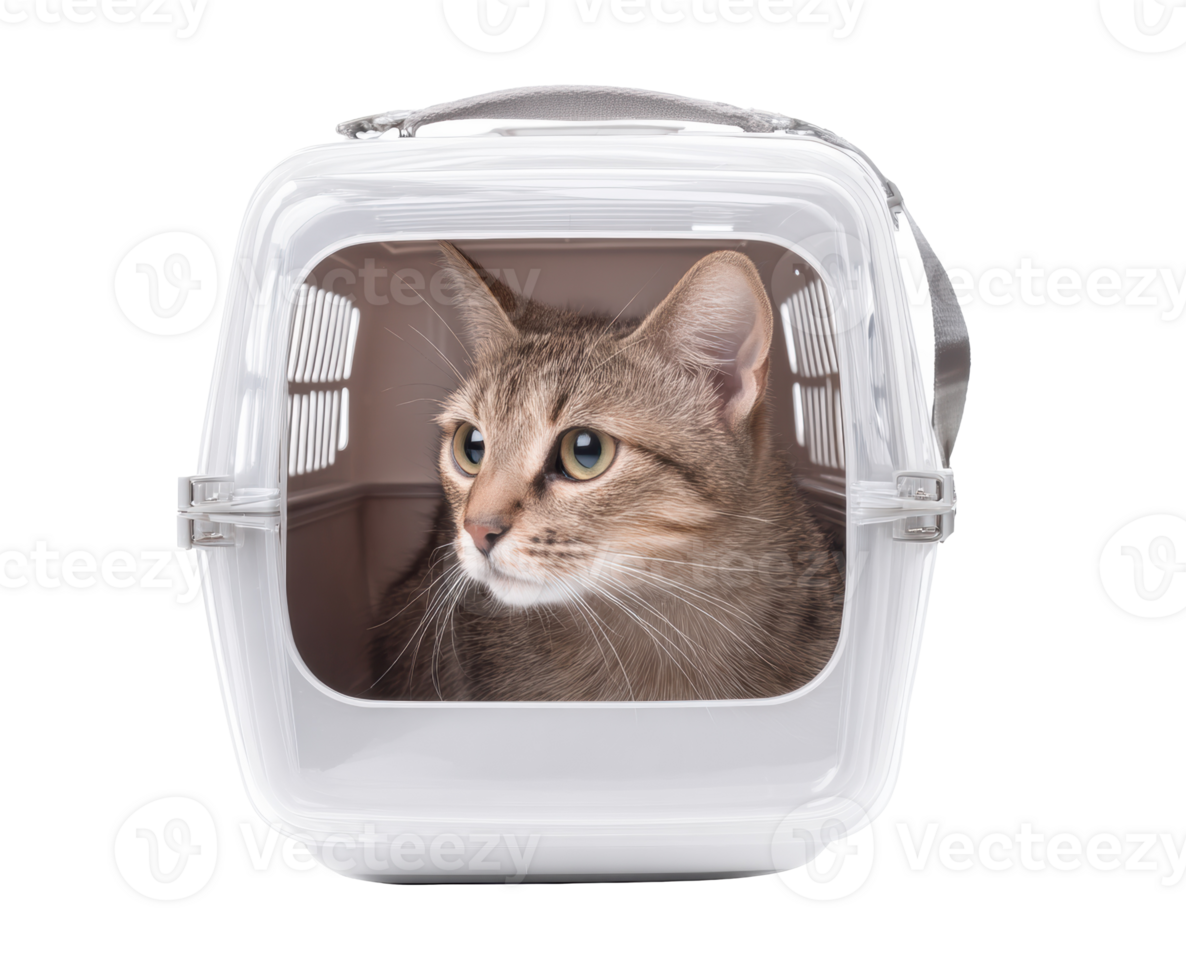 Cat in a transparent carrier during travel to the vet for health check png