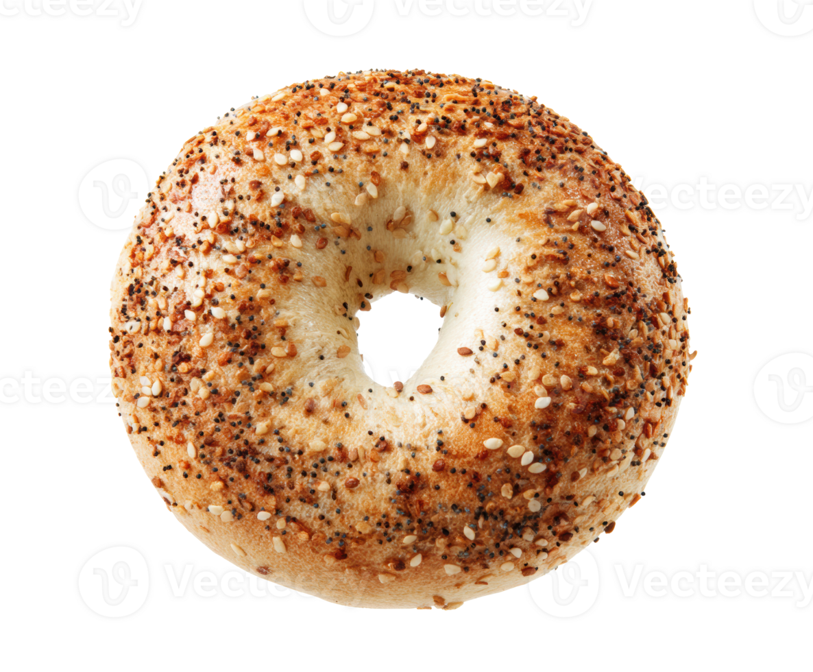 Savory everything bagel ready for breakfast or snack time png
