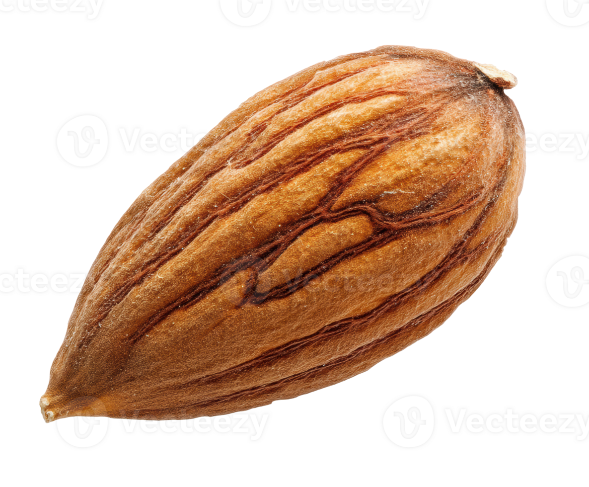 Almond nut with natural texture ideal for healthy eating recipes png