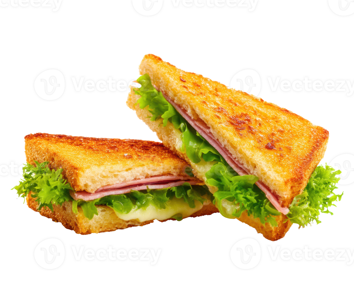 Delicious grilled sandwich with lettuce and ham for lunch break png