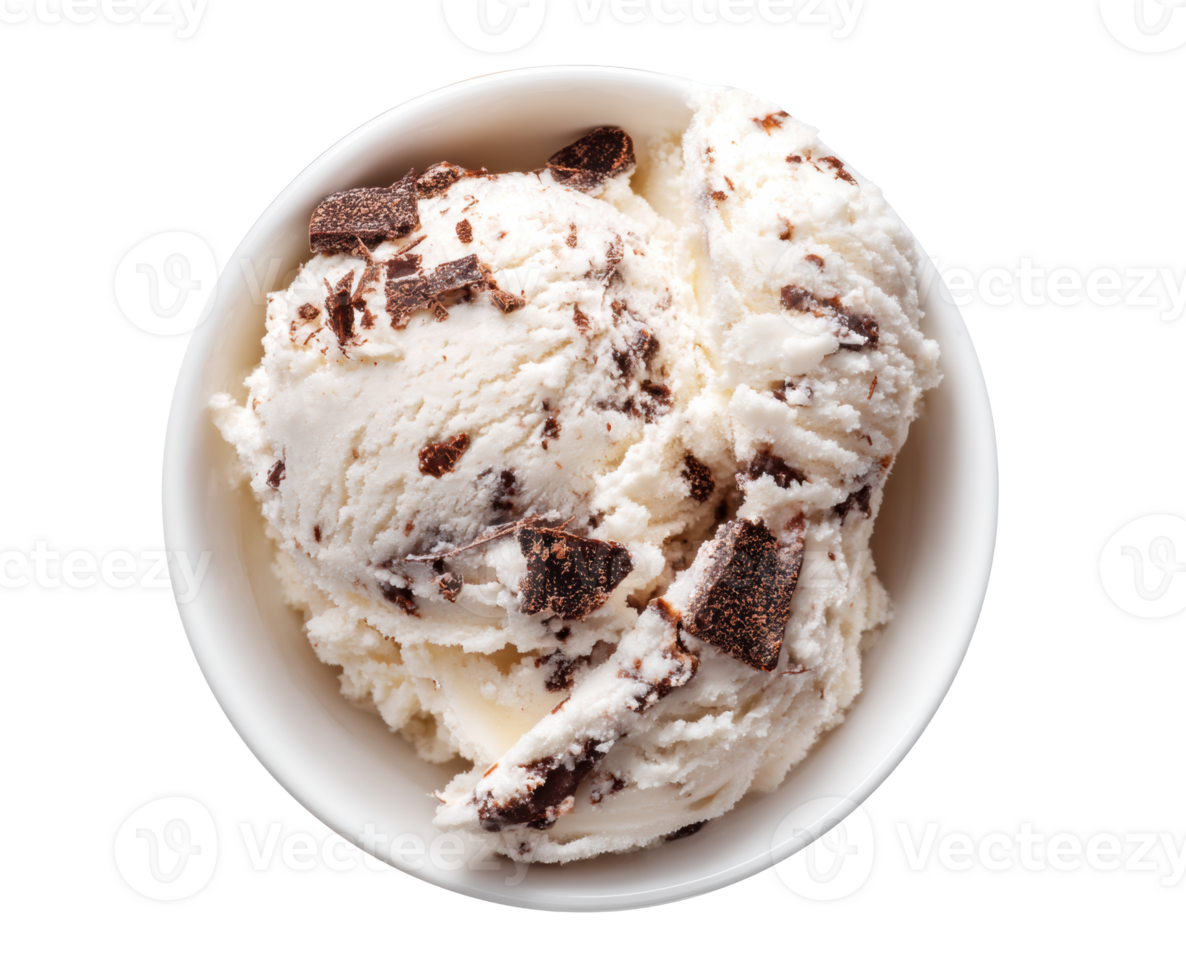 Delightful vanilla ice cream with chocolate chunks in a bowl png