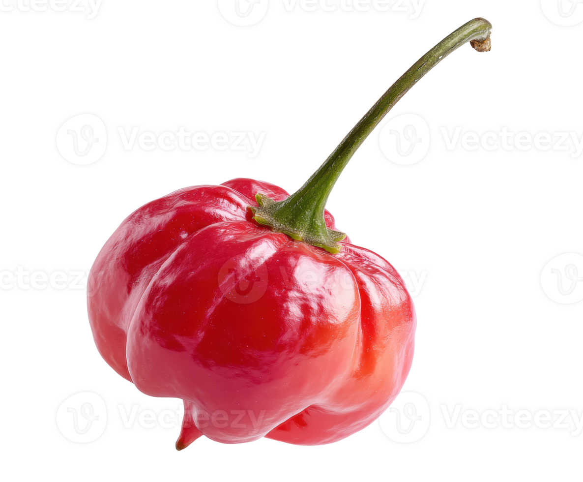 Red chili pepper with unique shape for culinary use and decoration png