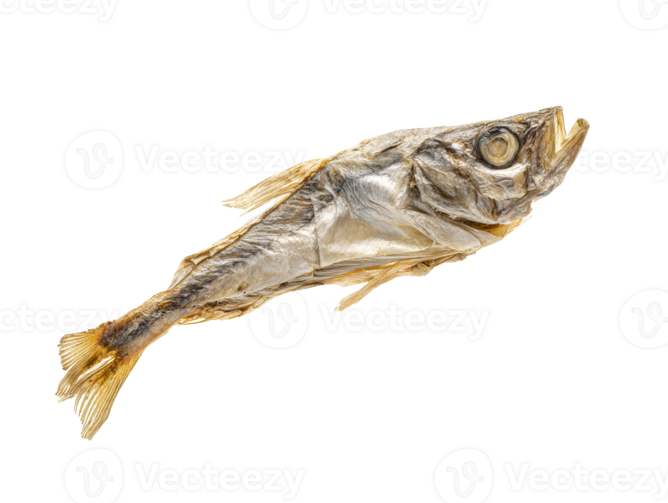 Dried fish laying on a flat surface ready for culinary use png
