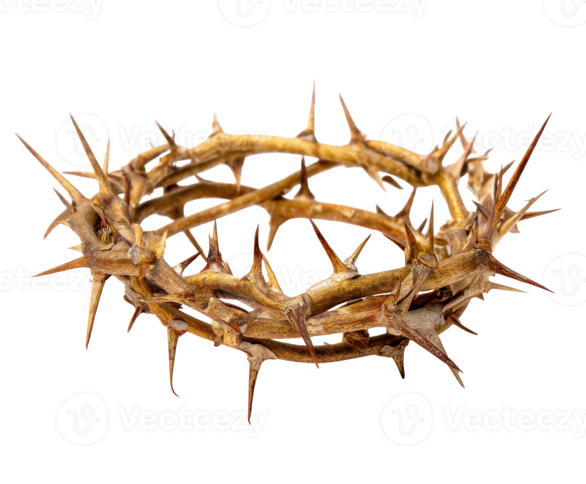 Symbolic crown of thorns representing suffering and sacrifice png
