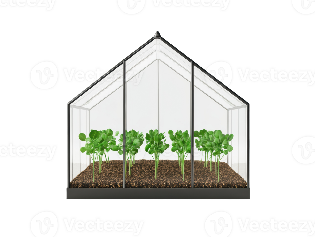 Indoor gardening with growing seedlings in a greenhouse structure png