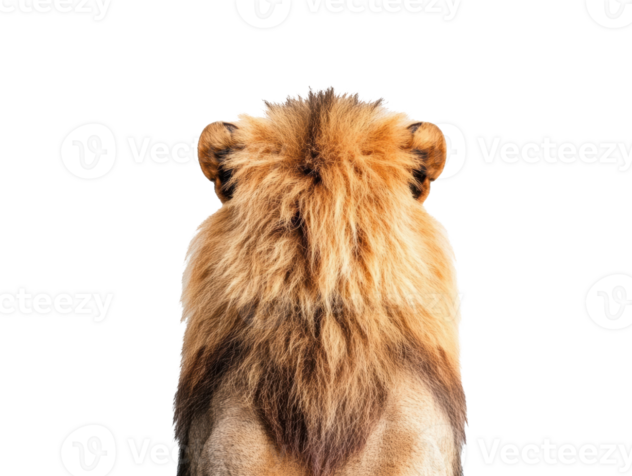 Majestic lion mane showcasing strength and grace in nature png