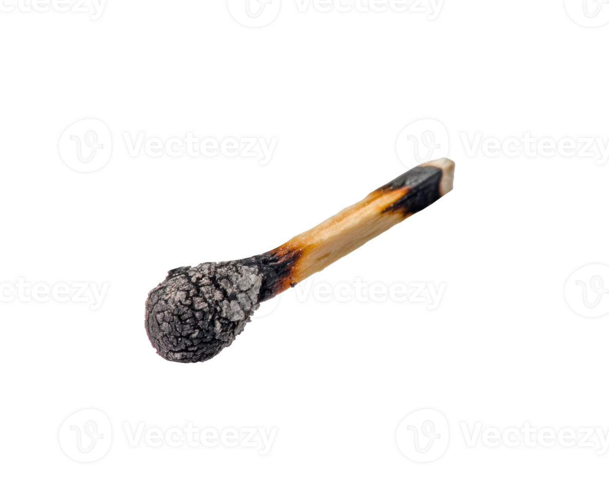 Unique burnt matchstick with charred head and wooden shaft png