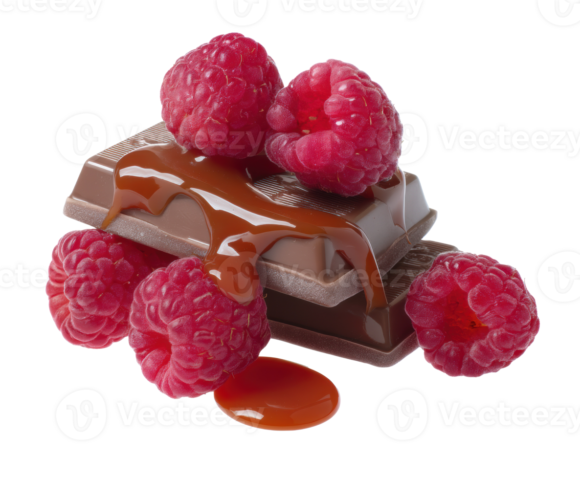 Chocolate and raspberry dessert combination with caramel drizzle png