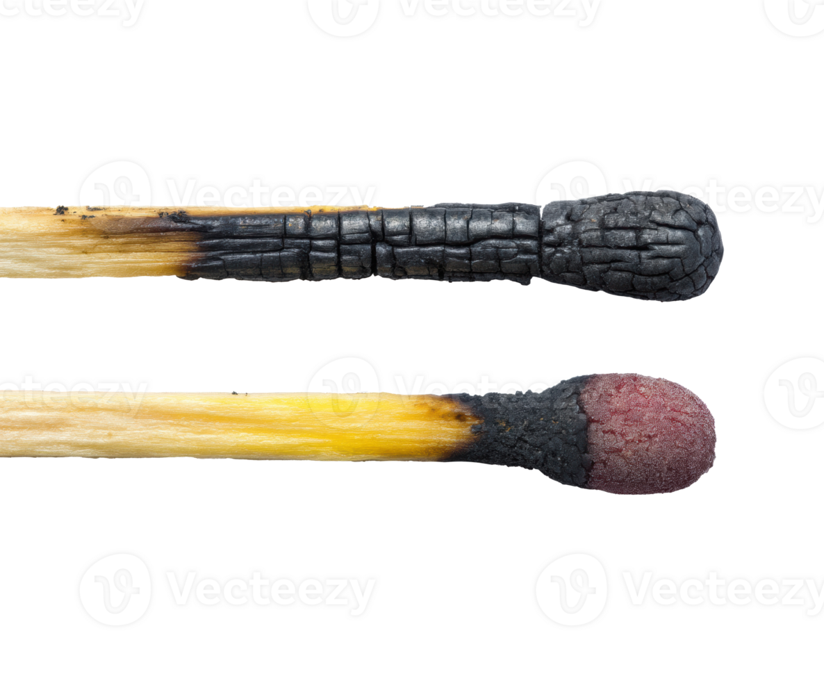 Matchsticks with burnt and unburnt heads for educational purposes png