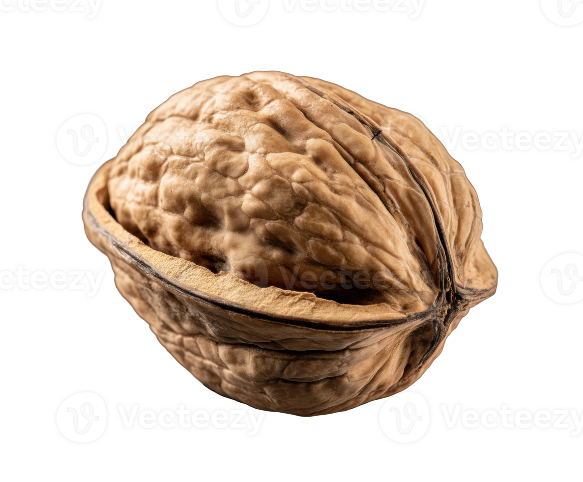 Natural walnut shell with unique textures and features png