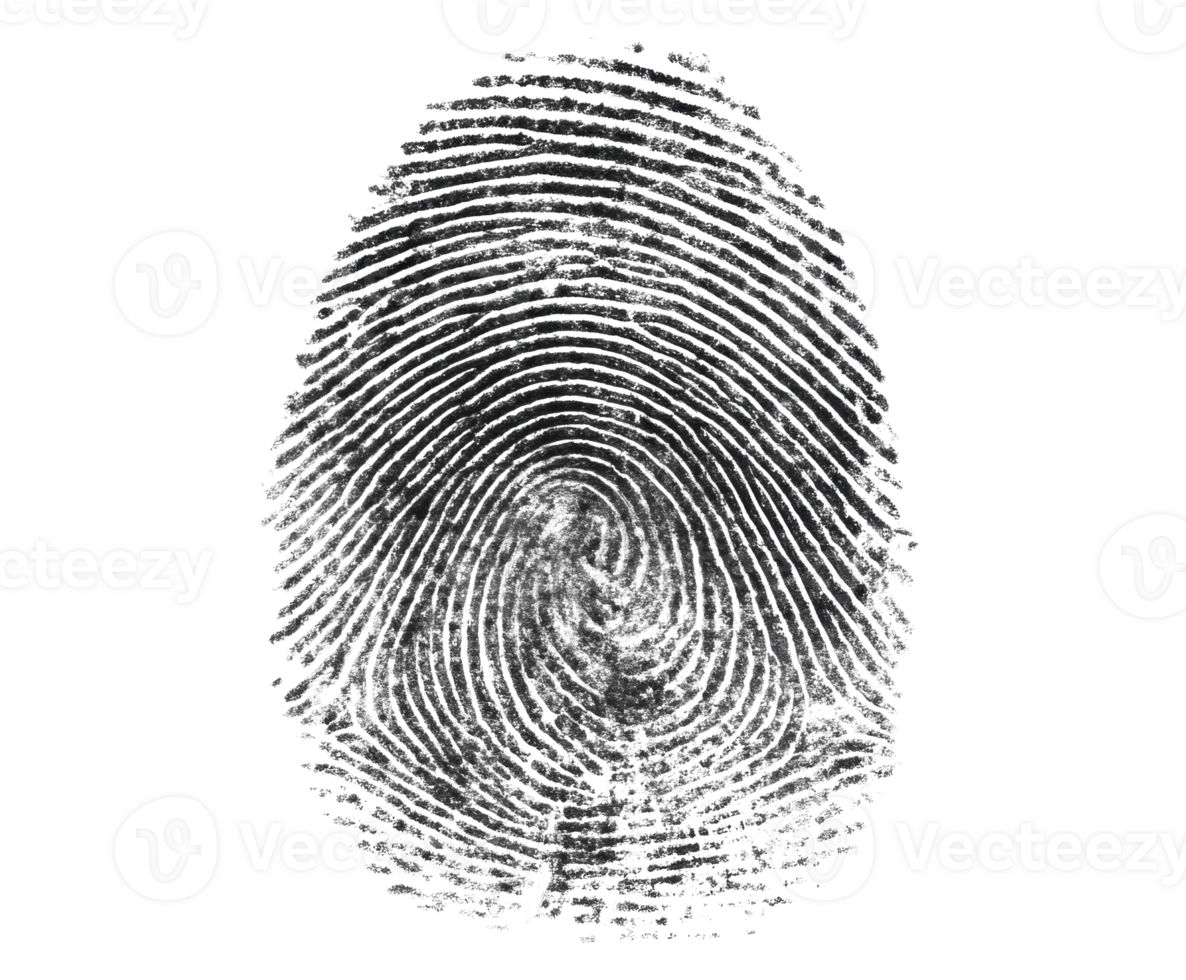 Detailed fingerprint pattern for security and identification purposes png