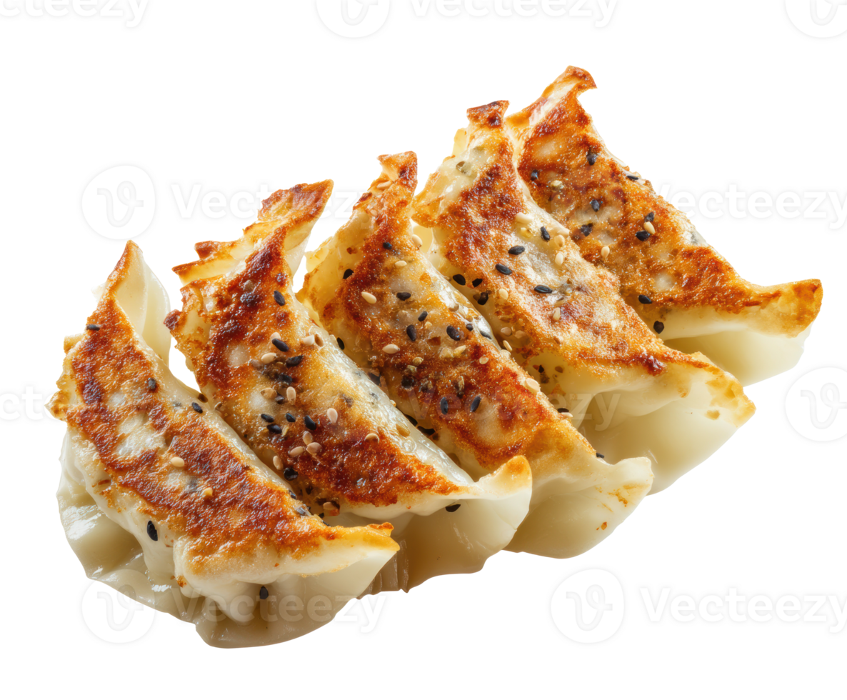 Crispy dumplings served on a plate for delicious enjoyment png