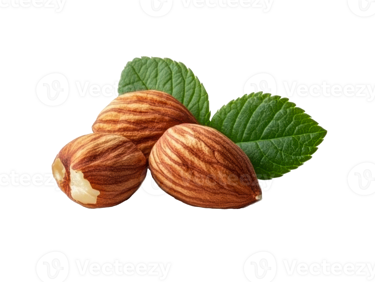 Hazel nuts with green leaves for culinary use or decoration png