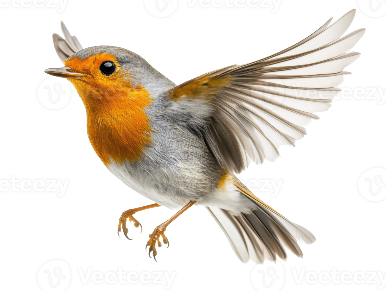 Colorful bird in mid-flight with vibrant feathers during daylight png