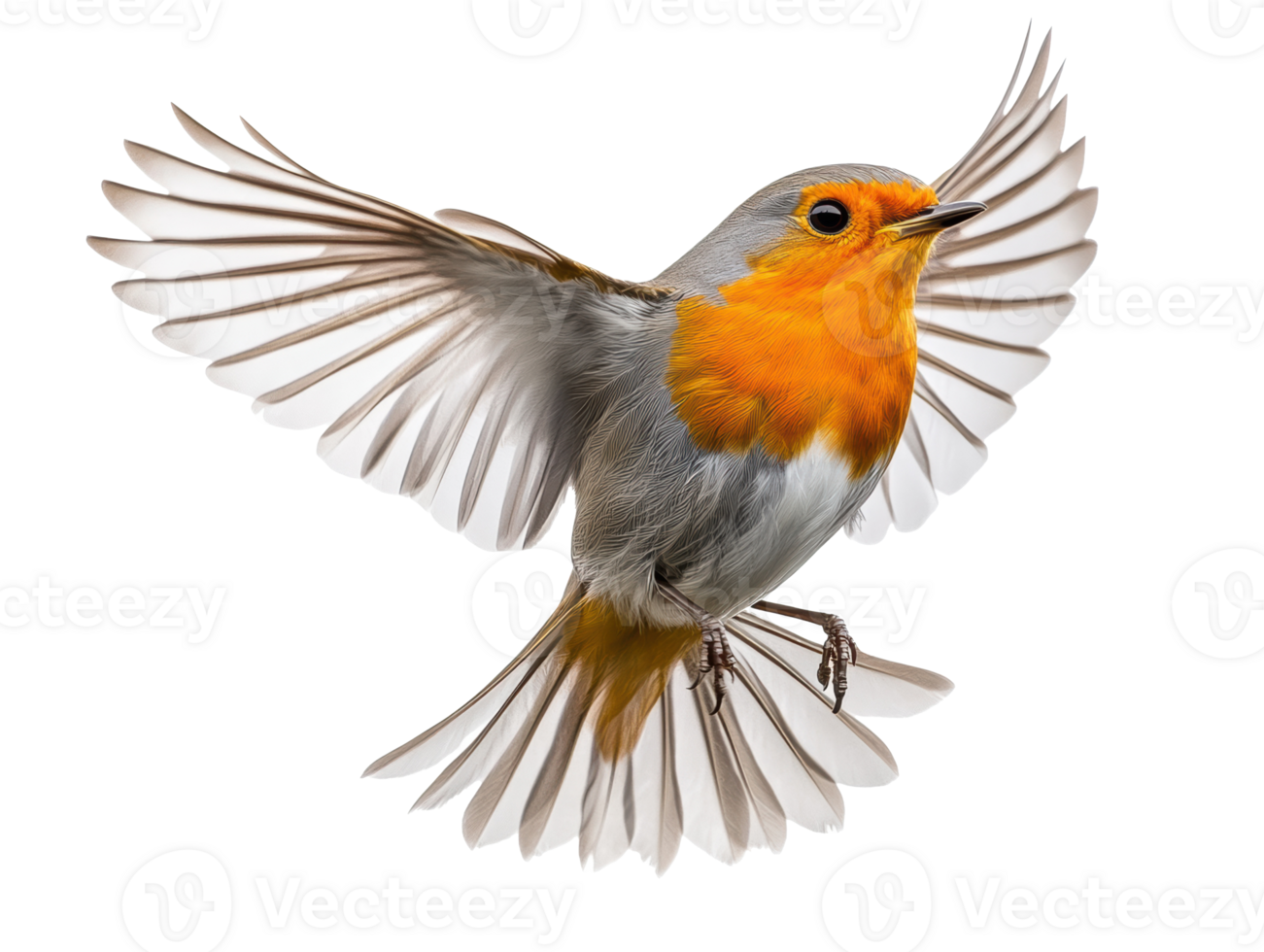 Colorful bird in mid-flight against a white background png