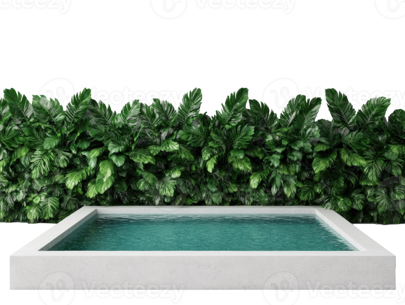Modern rectangular pool surrounded by lush green foliage png