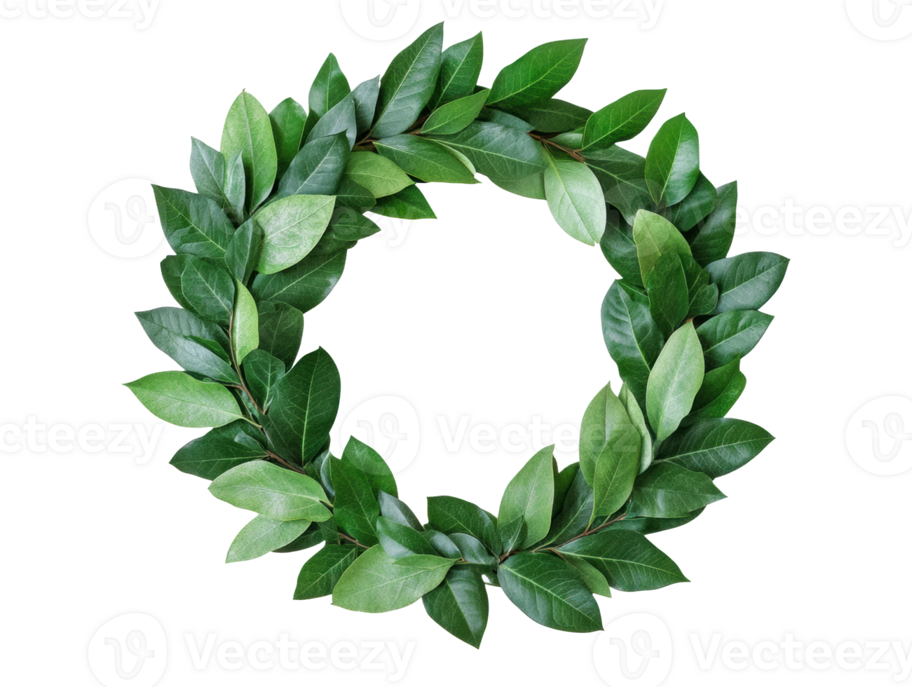 Green leaf wreath with fresh foliage for decoration png