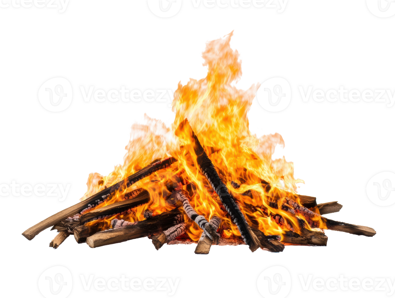 Campfire burning brightly at night in a forest clearing png
