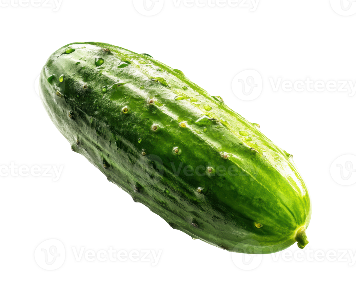 Fresh cucumber for healthy eating and culinary recipes png