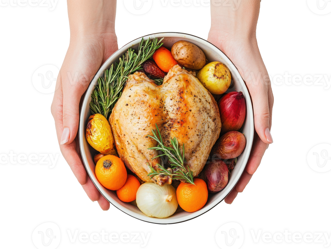 Freshly cooked chicken with colorful vegetables in hands png