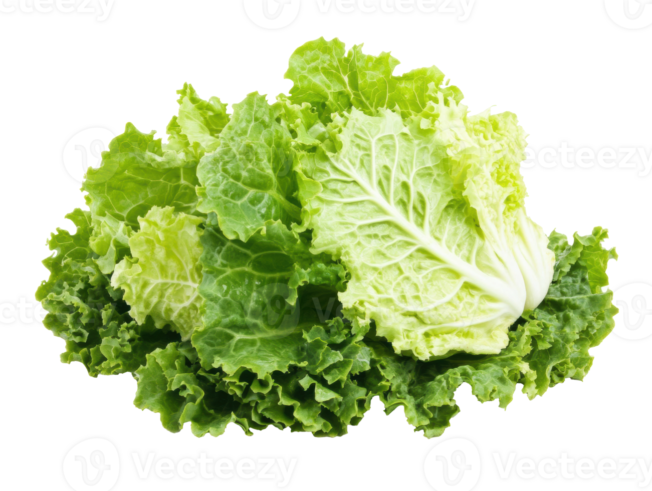 Fresh green lettuce leaves stacked for salad or garnish preparation png