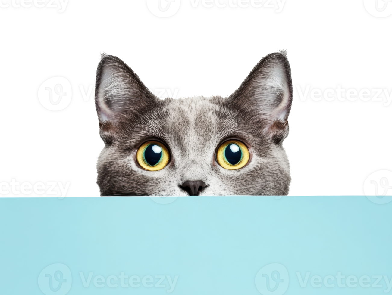 Curious cat peeking over a blue surface with wide eyes png