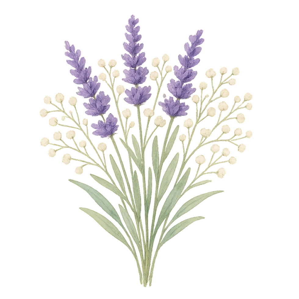 Delicate Lavender and Baby's Breath Bouquet for Floral Designs png