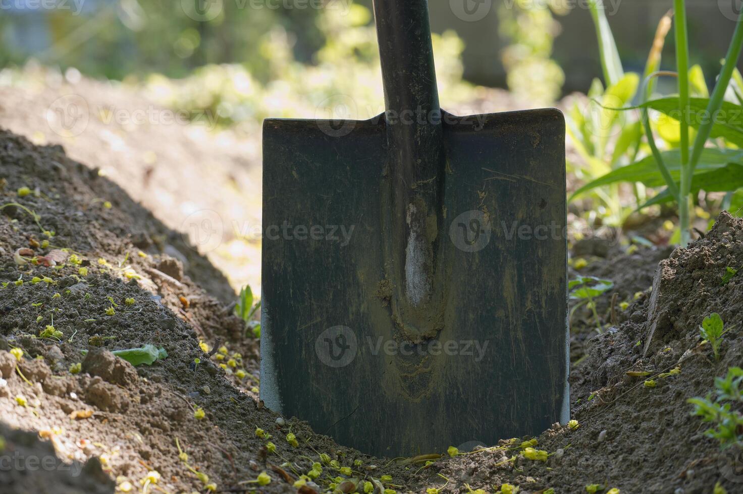 Close-up of a shovel in freshly tilled soil, ready for planting in a garden. photo