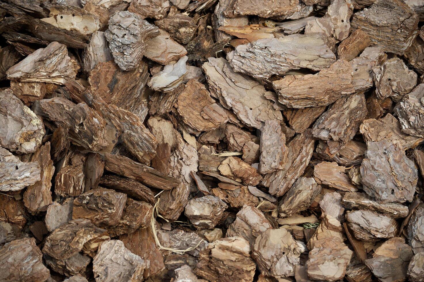 Close-Up View of Brown Tree Bark Mulch for Gardening and Landscaping photo