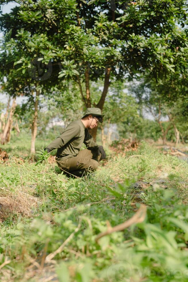 Person in olive clothing crouching in field examining plants and foliage photo