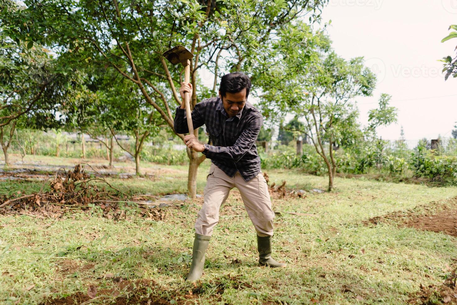 Dedicated farmer using hoe to prepare soil in agricultural field photo