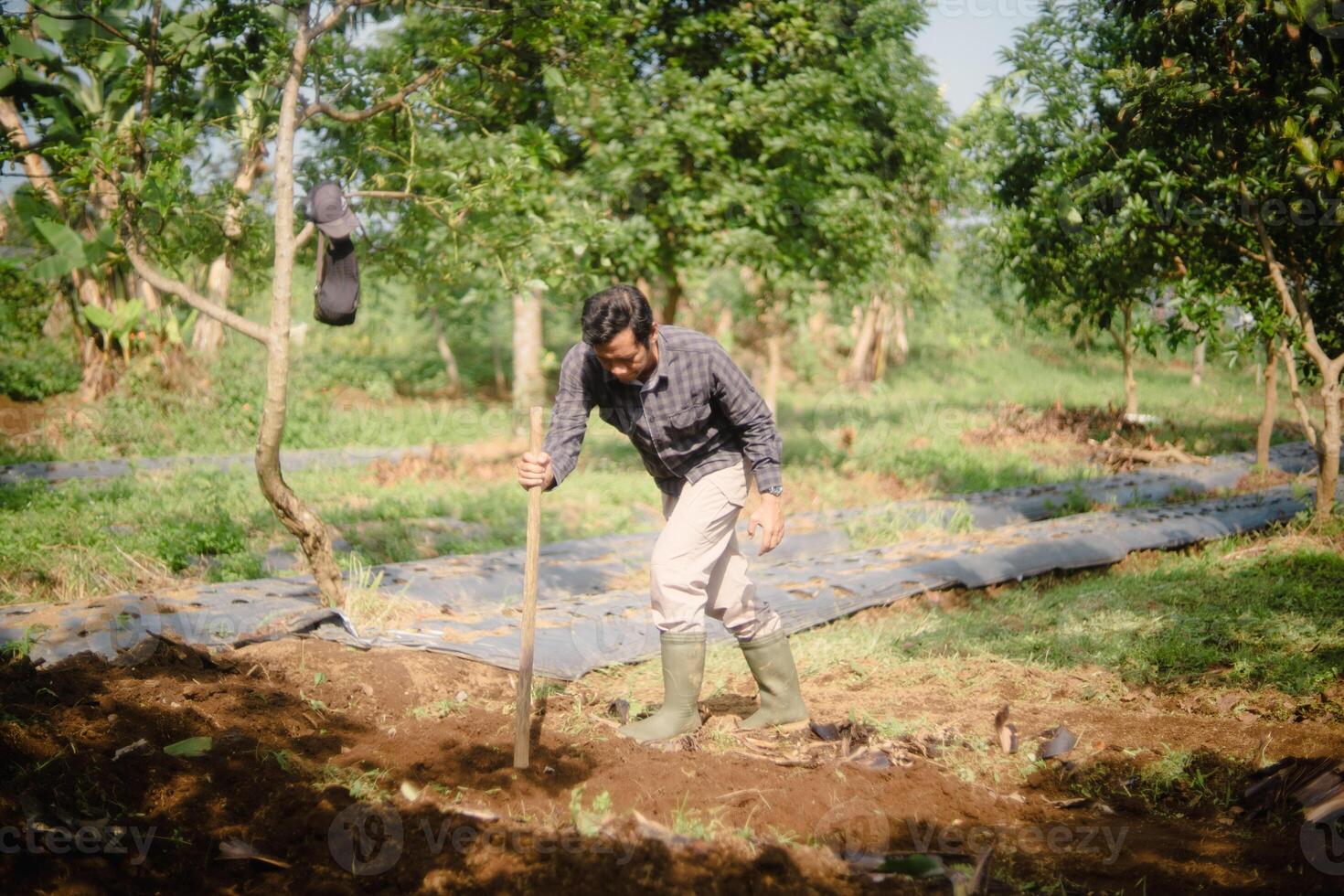 Farmer tending to his farm with dedication and focus in the sunny day photo