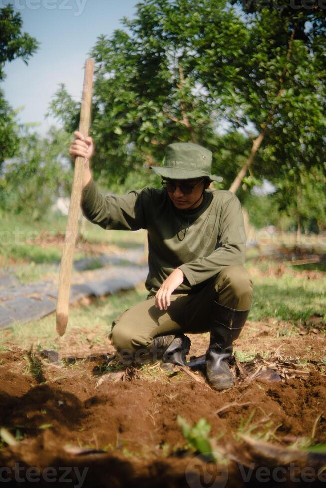 Diligent Farmer Preparing Soil for Cultivation in Verdant Rural Setting photo