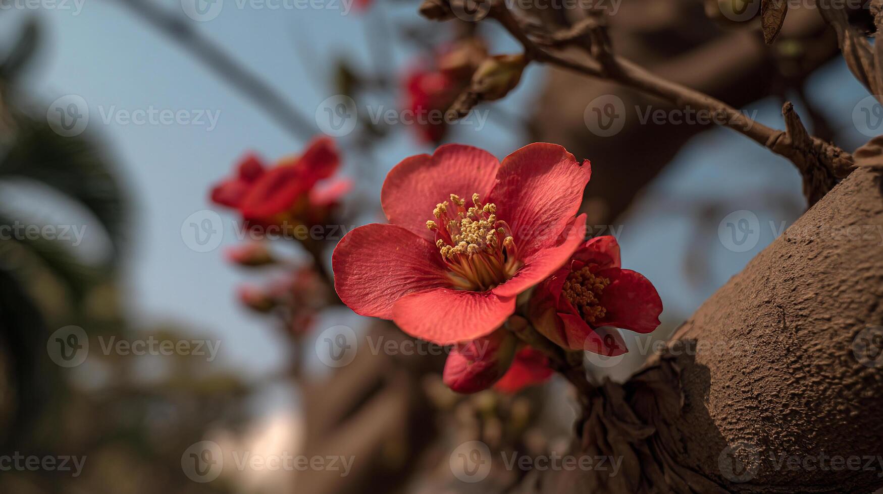 Flower with delicate detail resting on vibrant tree branch image photo