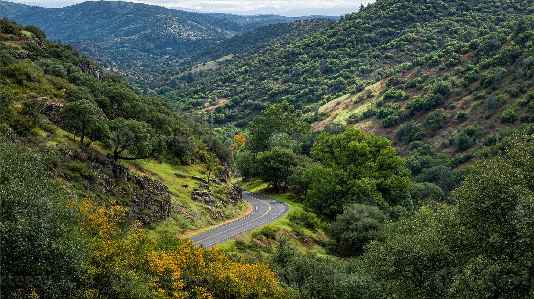 Trail across natural landscape in photorealistic view photo
