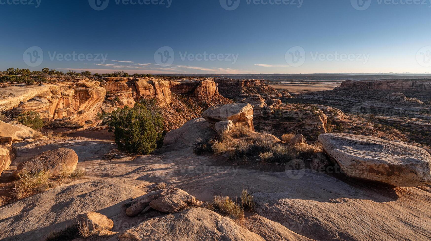 Realistic color tones in vibrant nature photography photo