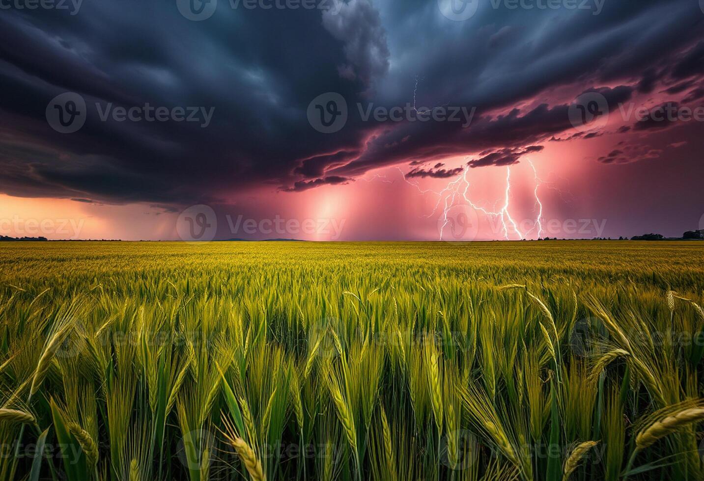 Warm light shining over grass field photo