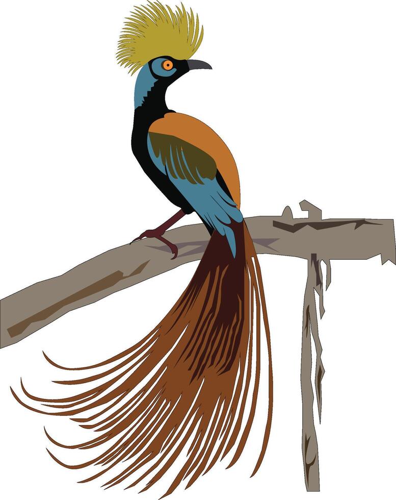 The beautiful birds look at inquiry for food. vector