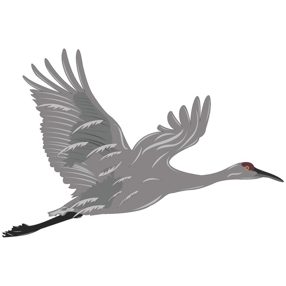 The heron birds flying in the sky. vector