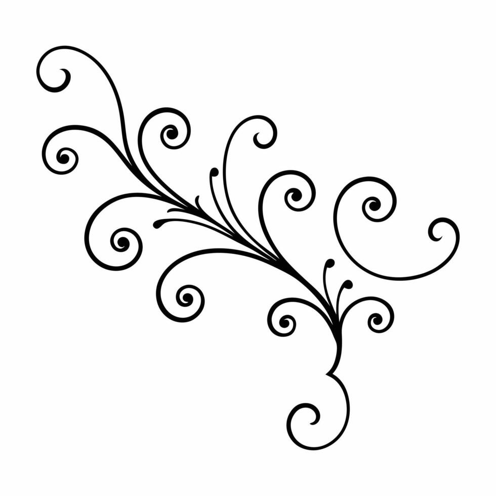 spring flourish line swirls decorative design vector