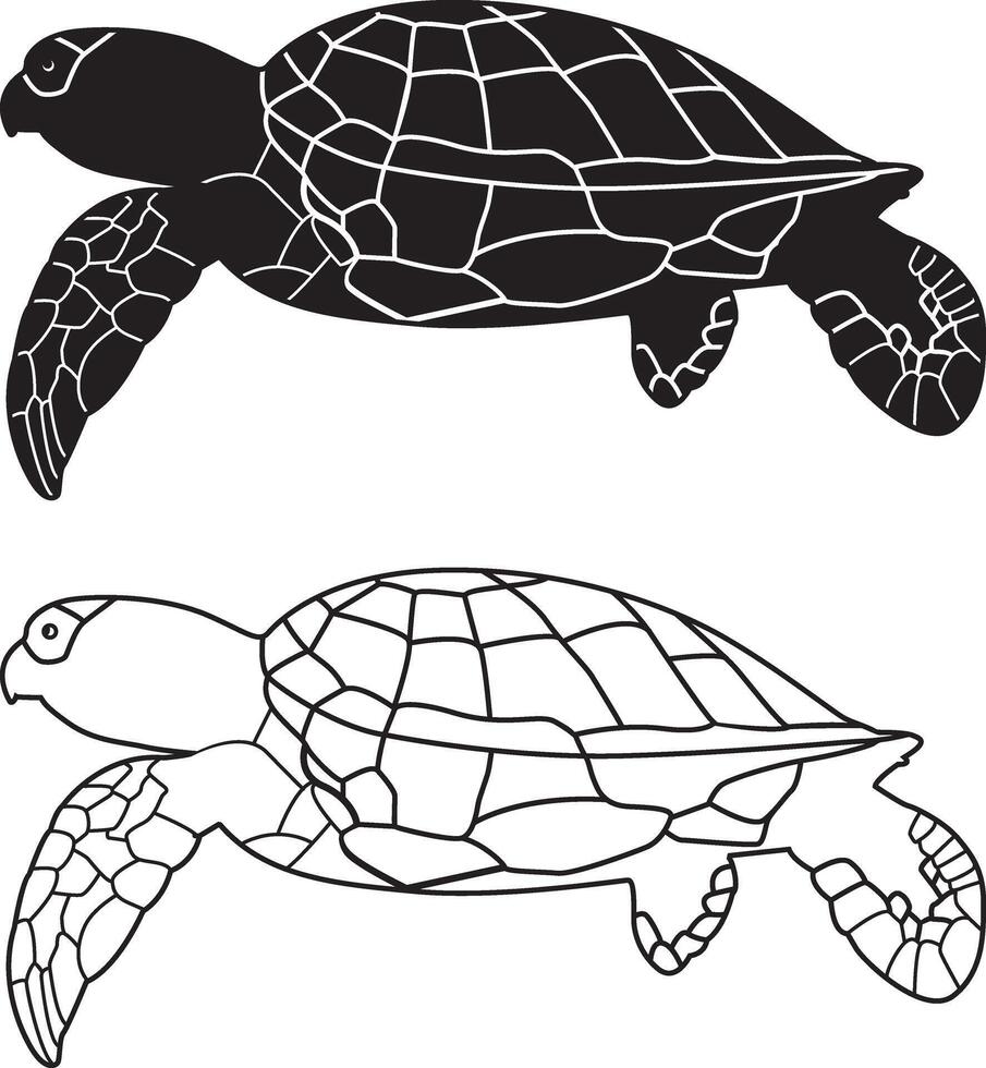 Turtle, Sea Turtle, Ocean Life, Sea Animal, Beach Turtle vector