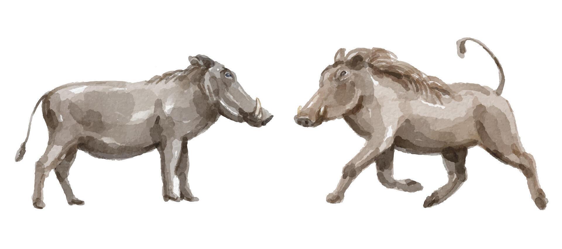 Watercolor set of wild boar for logo, invitations and more vector