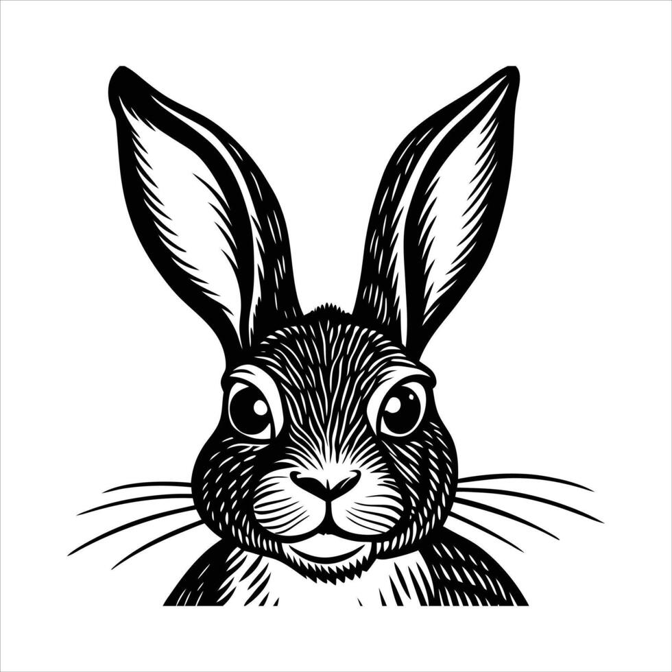 Rabbit Looking Side vector