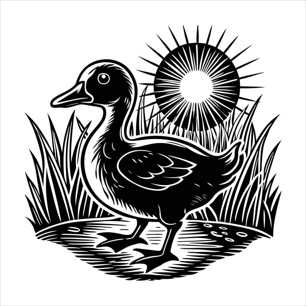 golden hour glow baby duck with sunlight vector