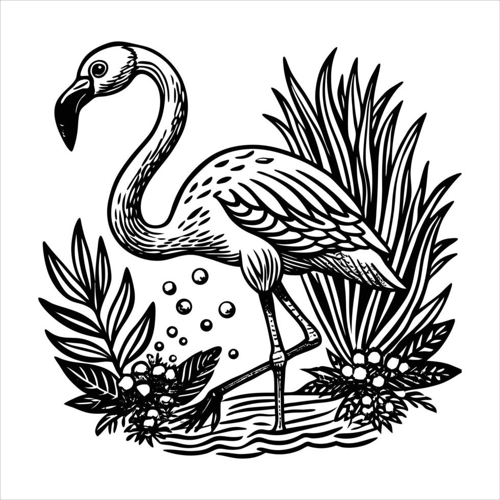 national geographic style flamingo vector