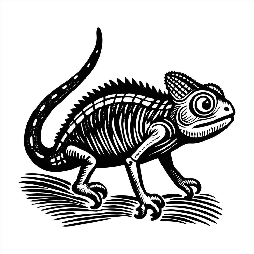 chameleon on the ground vector
